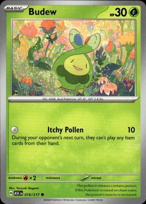 Budew 016/217 Ascended Heroes Ungraded