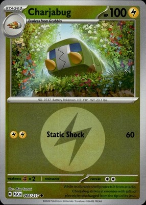 Charjabug (Energy Symbol Pattern) 065/217 Ascended Heroes Ungraded
