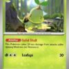 Turtwig 010/162 Temporal Forces Ungraded